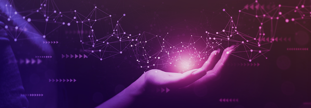 Dönüşümün Çerçevesi